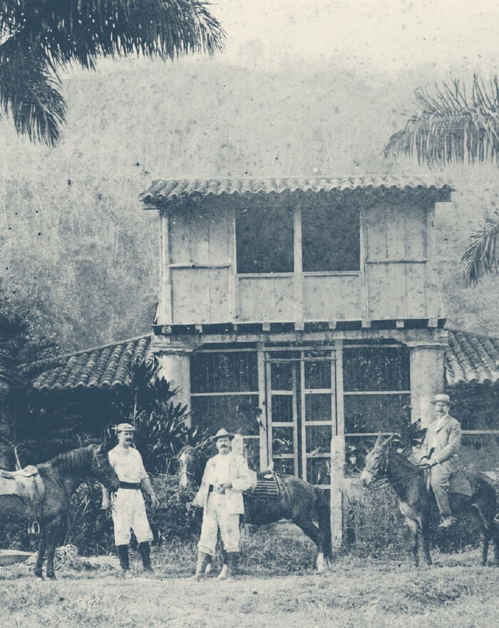 Un joven comerciante alemán llamado Gustav Julius Vollmer